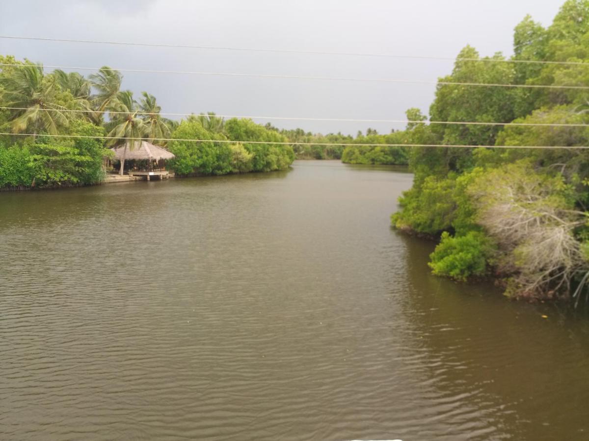 Silent Peacock Villa And Peacock Cafe แทนกาลเล ภายนอก รูปภาพ